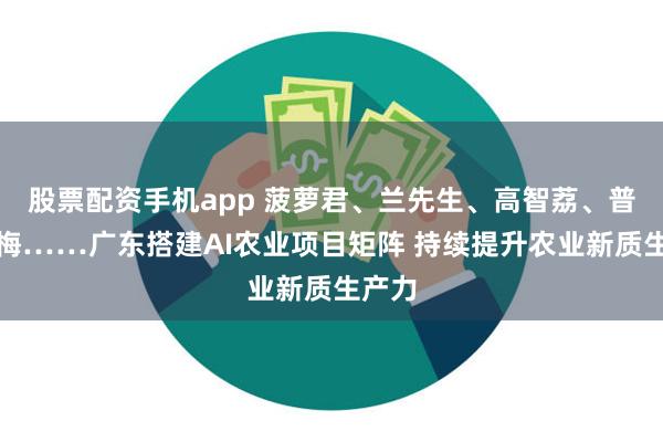 股票配资手机app 菠萝君、兰先生、高智荔、普宁美梅……广东搭建AI农业项目矩阵 持续提升农业新质生产力