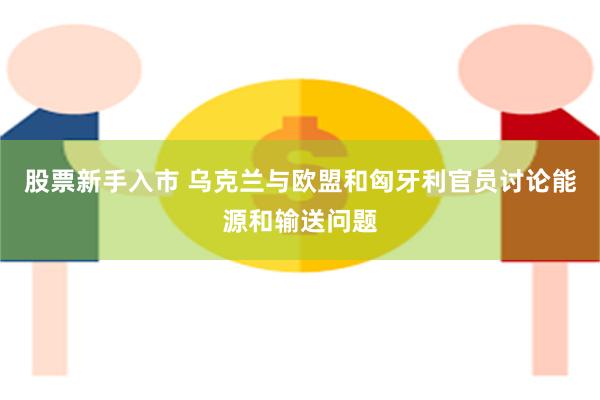 股票新手入市 乌克兰与欧盟和匈牙利官员讨论能源和输送问题
