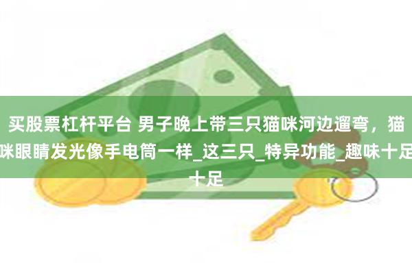 买股票杠杆平台 男子晚上带三只猫咪河边遛弯，猫咪眼睛发光像手电筒一样_这三只_特异功能_趣味十足