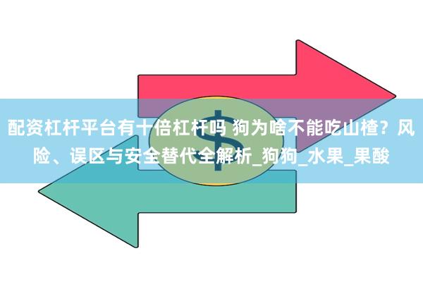 配资杠杆平台有十倍杠杆吗 狗为啥不能吃山楂？风险、误区与安全替代全解析_狗狗_水果_果酸