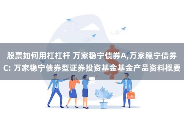 股票如何用杠杠杆 万家稳宁债券A,万家稳宁债券C: 万家稳宁债券型证券投资基金基金产品资料概要