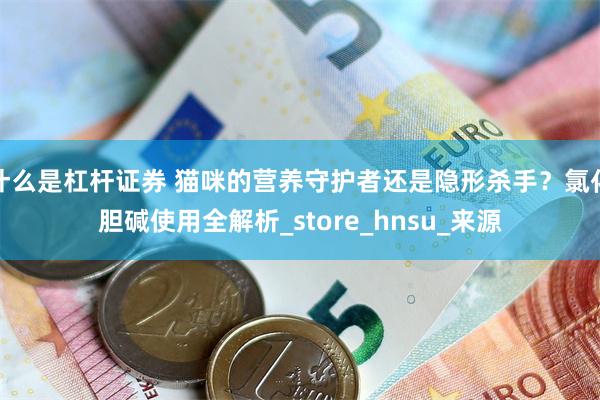 什么是杠杆证券 猫咪的营养守护者还是隐形杀手？氯化胆碱使用全解析_store_hnsu_来源