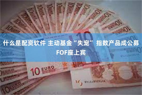 什么是配资软件 主动基金“失宠” 指数产品成公募FOF座上宾