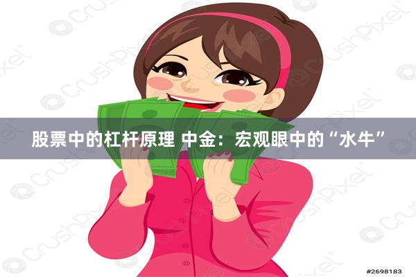 股票中的杠杆原理 中金：宏观眼中的“水牛”